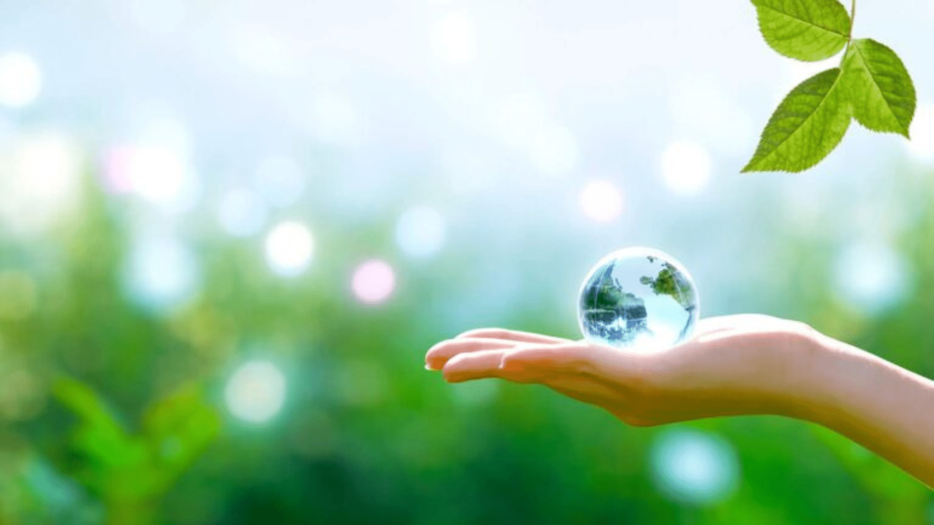 On a verdant nature setting, a woman delicately embraces the transparent globe of Earth in her hand